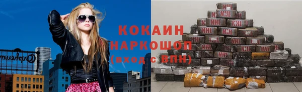 индика Нефтекумск