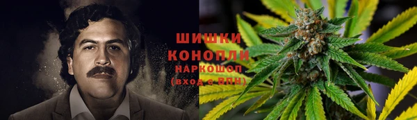 индика Нефтекумск