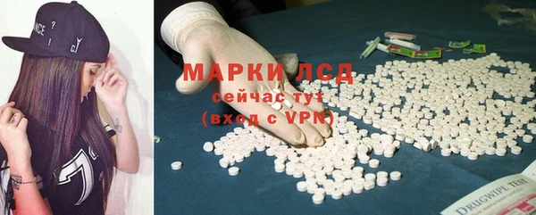 индика Нефтекумск
