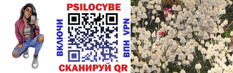Галлюциногенные грибы Magic Shrooms  Купить  Микунь 